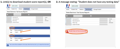 Test Scores Tab